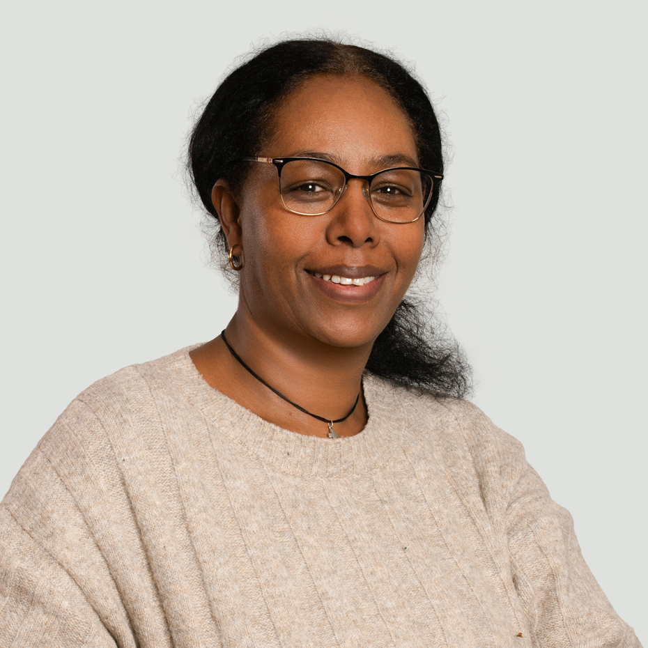 Andemichael_ Netsanet_für_HP_